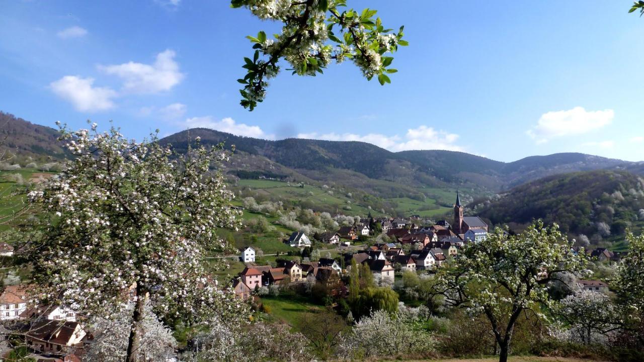 Les Gites La Cerisaie Breitenbach Bagian luar foto