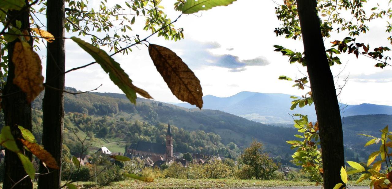 Les Gites La Cerisaie Breitenbach Bagian luar foto