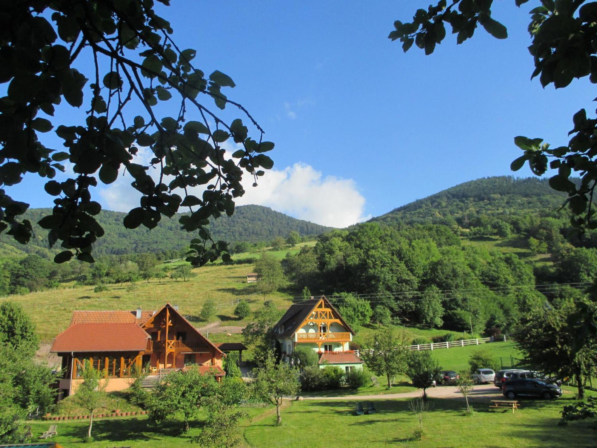 Les Gites La Cerisaie Breitenbach Ruang foto